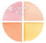 Obrázek k výrobku 2392 - Paleta korektorů Avon Professional 4 ml