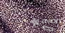 Obrázek k výrobku Lak na nehty Stardust varianta - Polished Plum